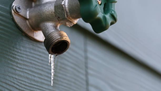 Best Emergency Plumber  in Pleasant Hill, IA