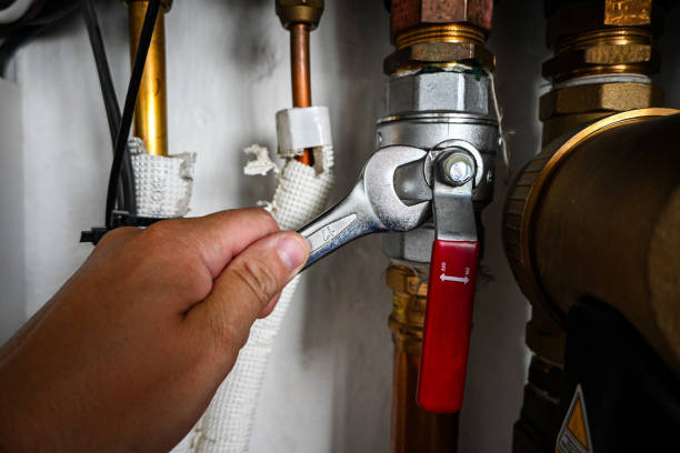 Best Plumbing Services Near Me  in Pleasant Hill, IA
